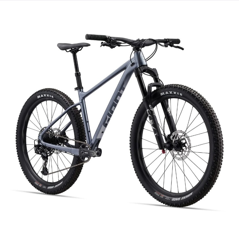 Giant Bicycles review