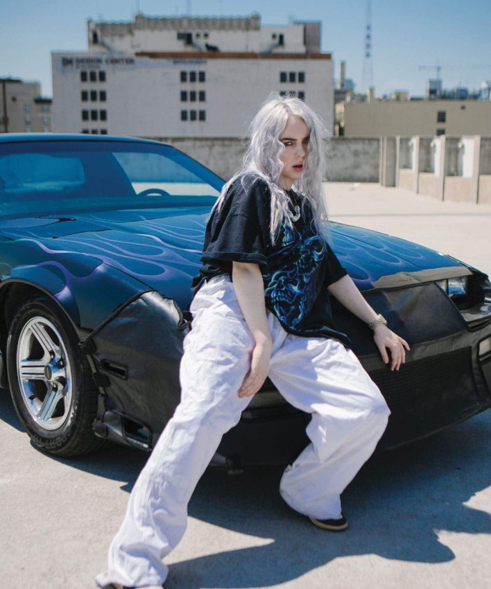 Billie Eilish Cars and House