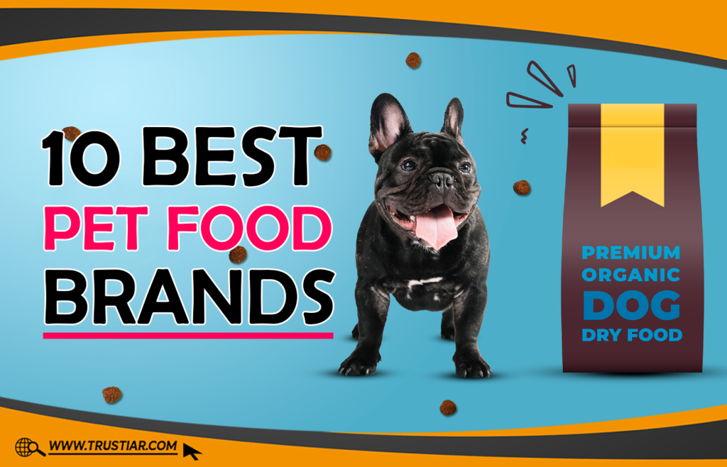 10 Best Pet Food Brands For You To Buy Right Now Best Pet Food Brands